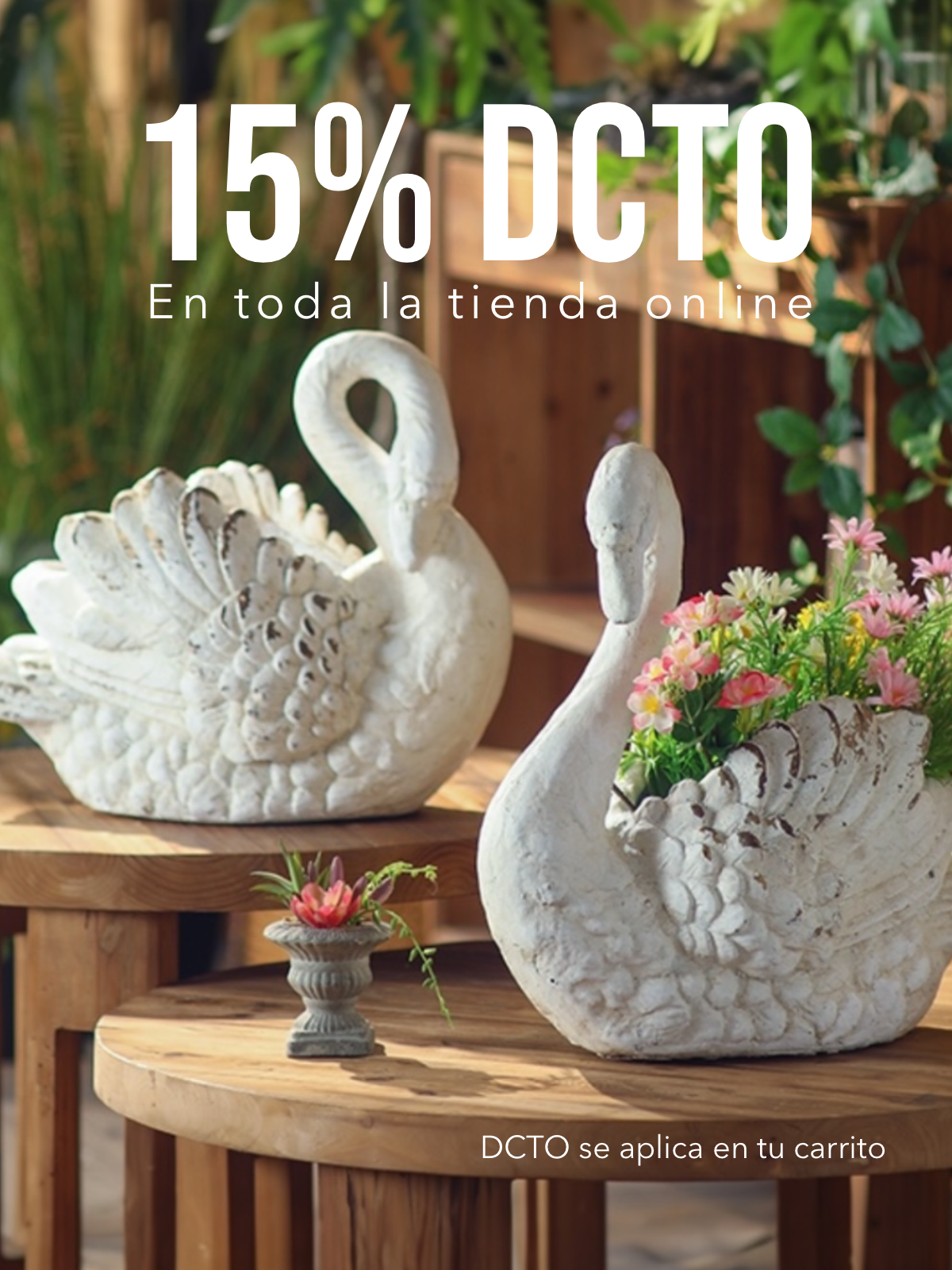 Imagen de diapositiva