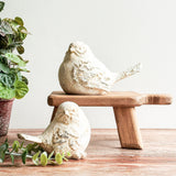 Set pájaros resina B