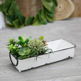 Bandeja rectangular enlozada asas