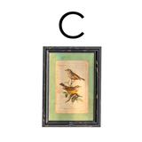 Cuadro pajarito madera