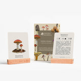 Cartas Reino Fungi