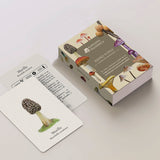 Cartas Reino Fungi