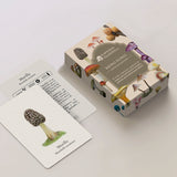 Cartas Reino Fungi