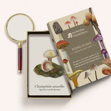 Cartas Reino Fungi