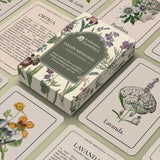 Cartas Jardín Medicinal