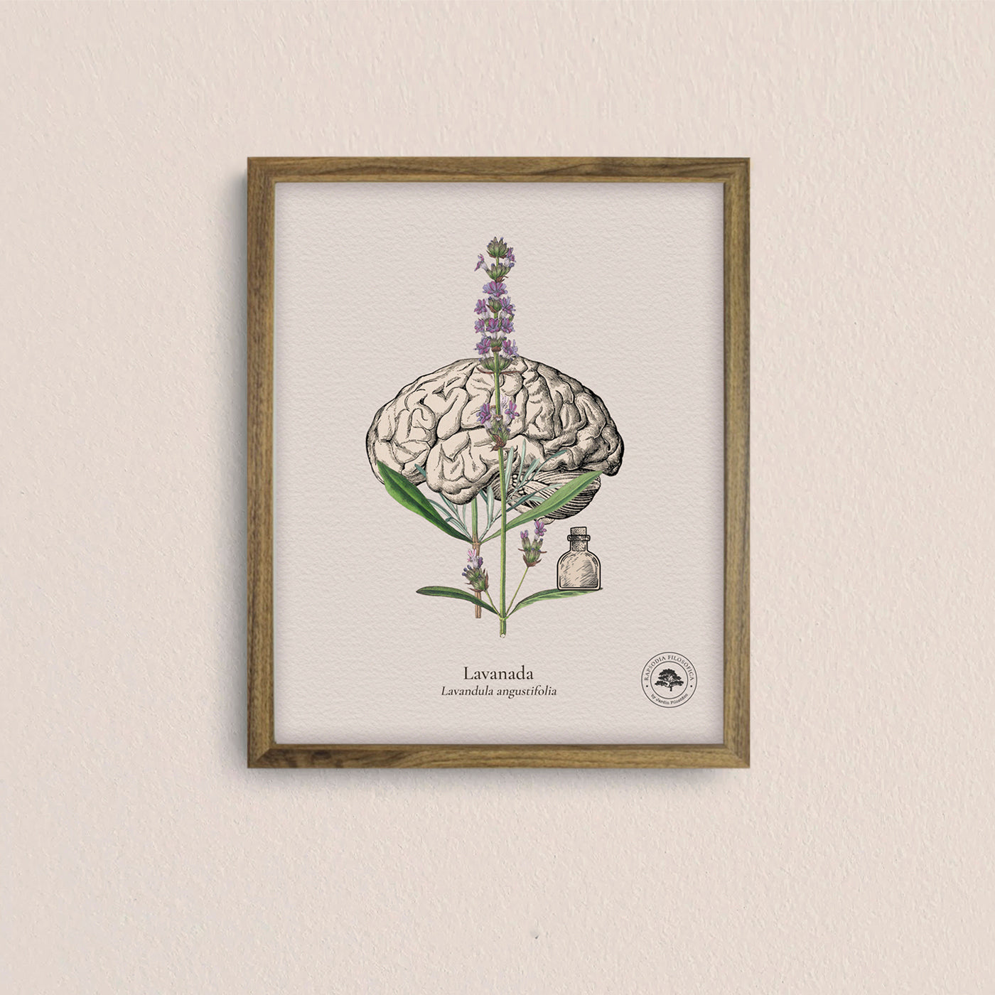 Cuadros Jardín Medicinal