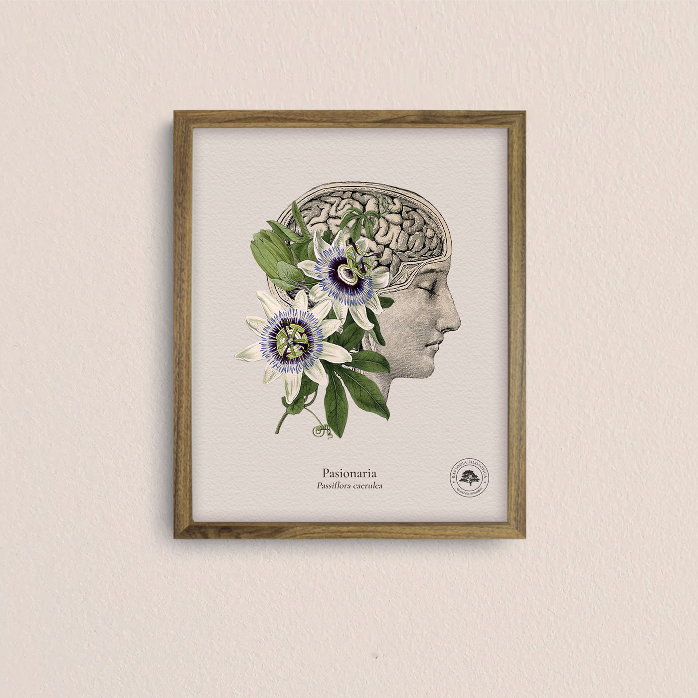 Cuadros Jardín Medicinal