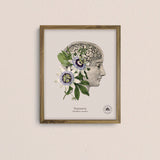 Cuadros Jardín Medicinal