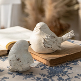 Set pájaros resina D