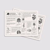 Pack individuales citas