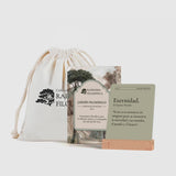 Cartas Jardín Filosófico