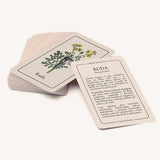 Cartas Jardín Medicinal