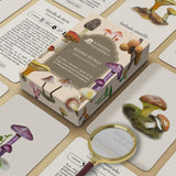 Cartas Reino Fungi