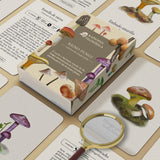 Cartas Reino Fungi
