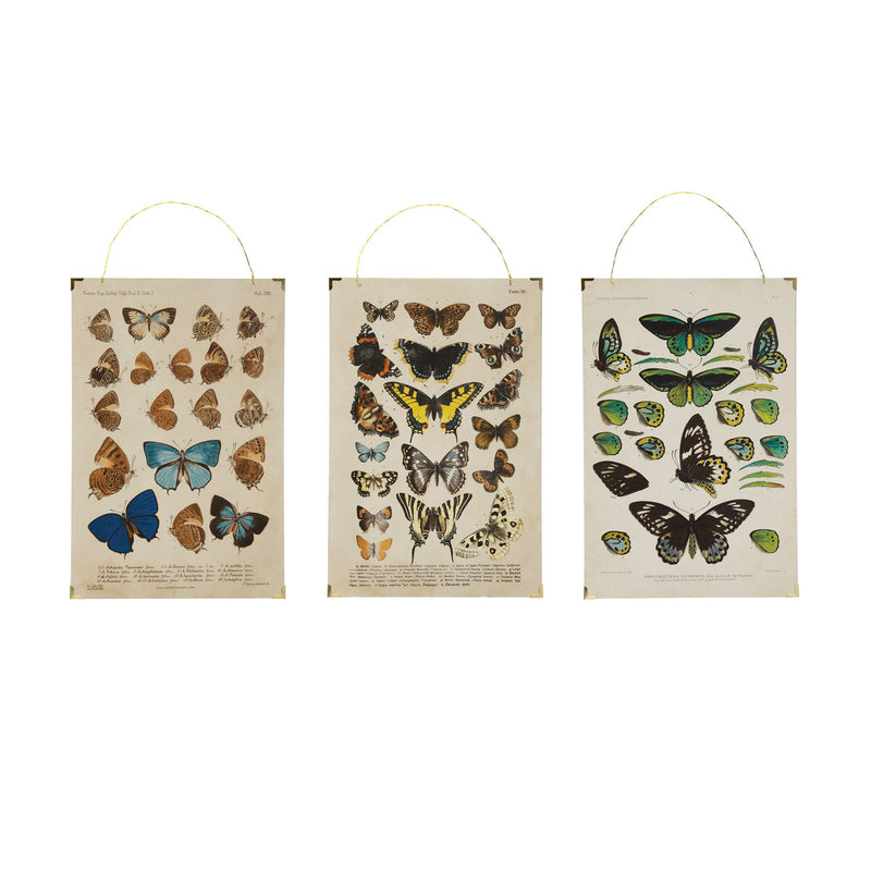 Set cuadros mariposas