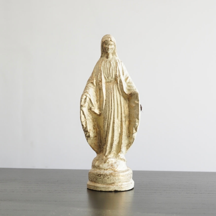 Virgen fierro