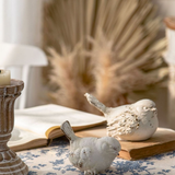 Set pájaros resina C