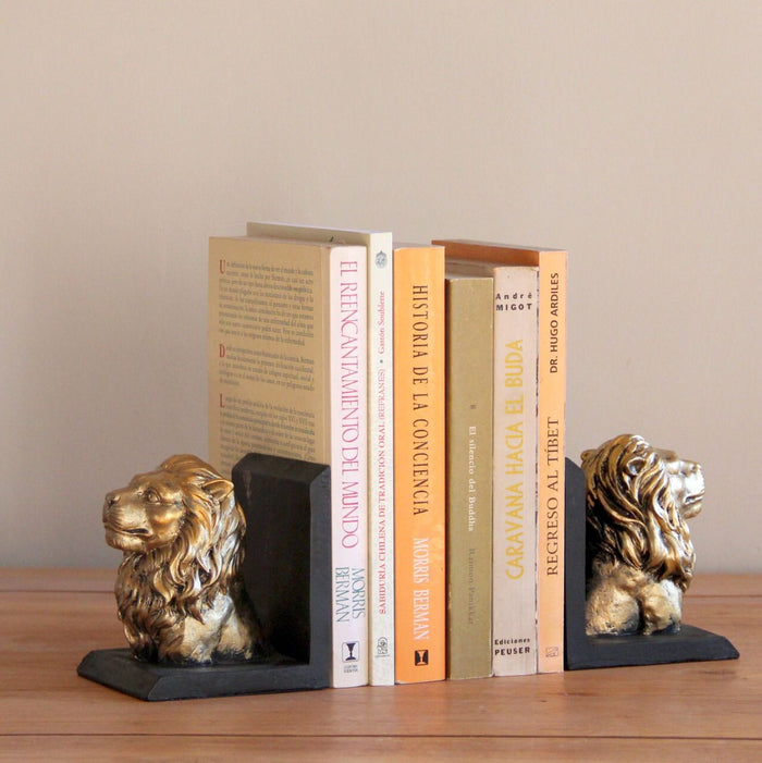 Sujeta libros leones