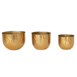 Set maceteros hoja dorados