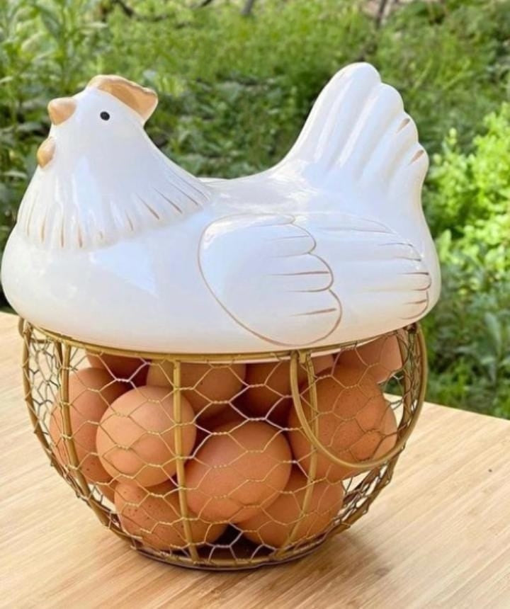 Canasto huevos gallina